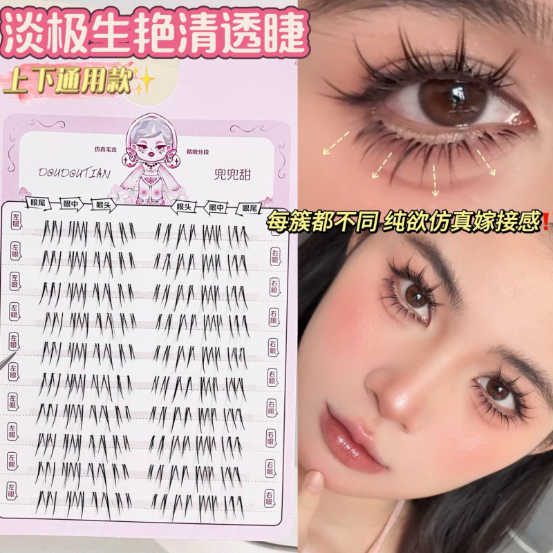 Beauty Makeup Looks - 한국 스타일 자연스러운 인조 속눈썹 DIY
